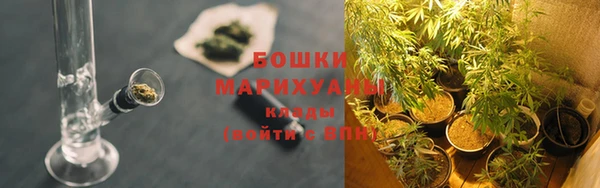 индика Белоозёрский