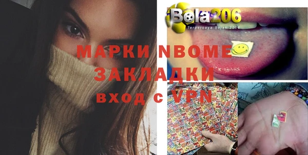 индика Белоозёрский